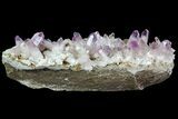 Amethyst Cluster - Las Vigas, Mexico #84398-2